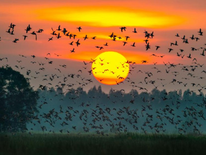 Suy ngẫm - Từ nhiếp ảnh wildlife đến kinh tế bảo tồn: Lựa chọn nào cho Việt Nam?