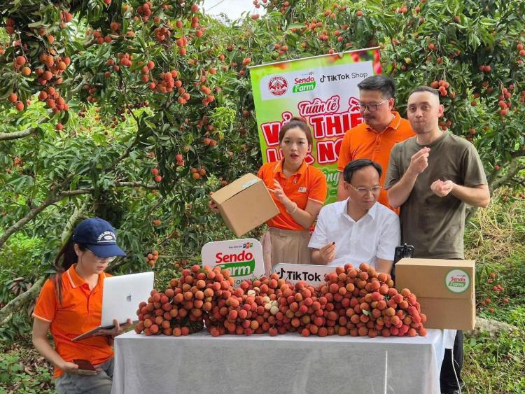 Phó Chủ tịch tỉnh Bắc Ninh lên livestream bán vải, chốt hơn 31 tấn - 2