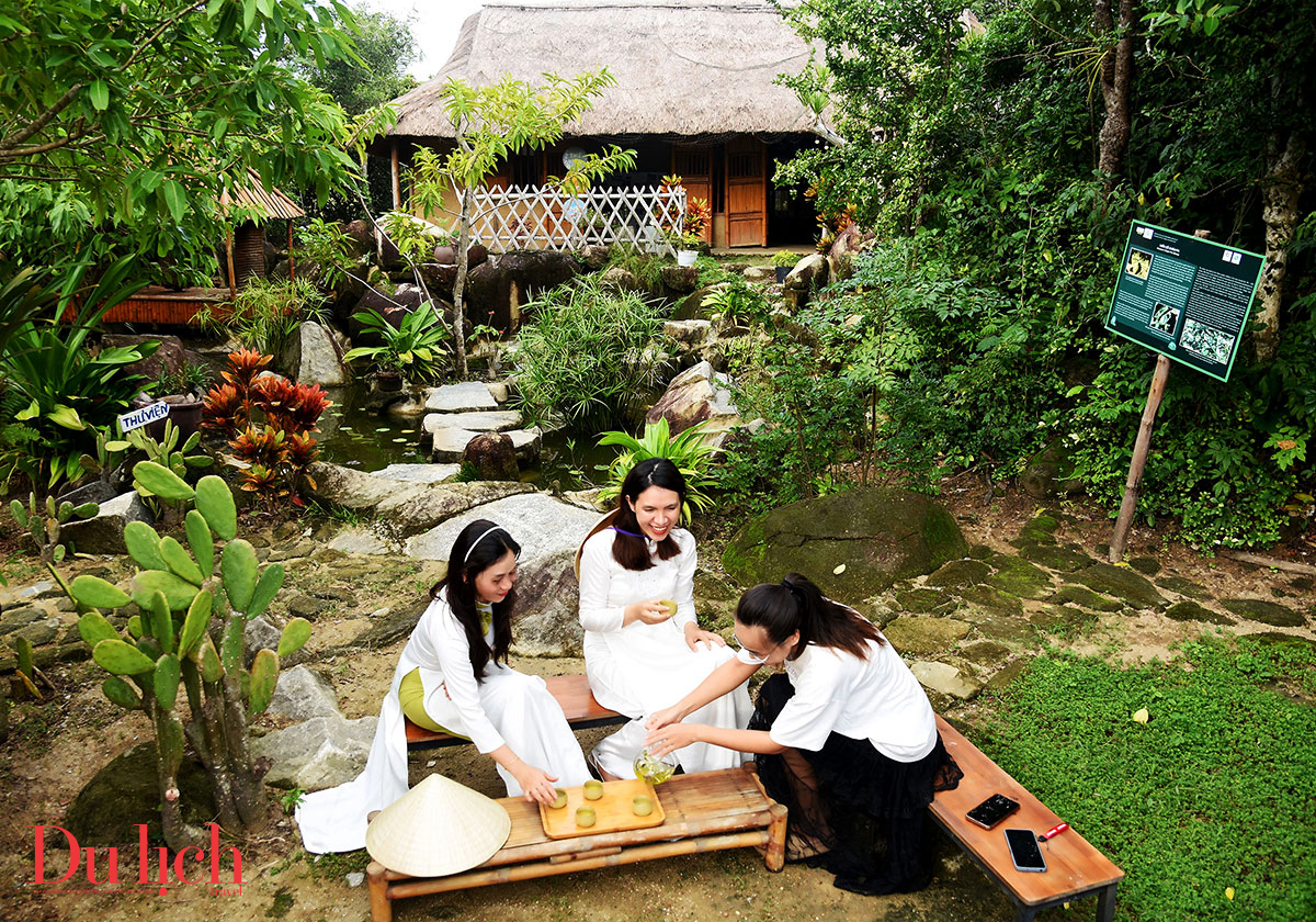 chinh tuyen duong ven bien de bao ve quan the di tich quoc gia dac biet sa huynh - 5