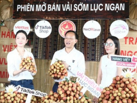  - Phó Chủ tịch tỉnh Bắc Ninh lên livestream bán vải, chốt hơn 31 tấn