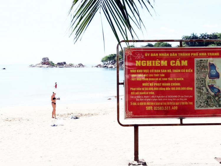 Xót xa cảnh du khách giẫm đạp thảm cỏ biển, san hô ở Hòn Chồng
