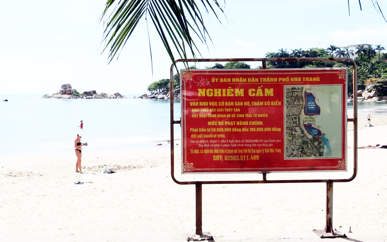 Xót xa cảnh du khách giẫm đạp thảm cỏ biển, san hô ở Hòn Chồng - 1