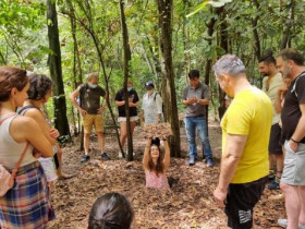  - TP.HCM thúc đẩy hợp tác với UNESCO về điện ảnh và di sản