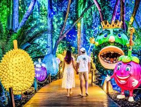  - Đến lễ hội trái cây Nam bộ trải nghiệm chương trình giải trí đêm huyền ảo
