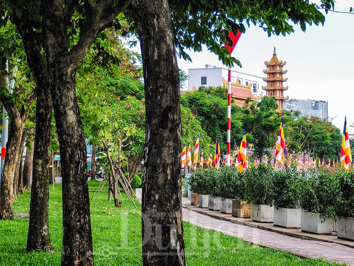 Ngàn sen khoe sắc thắm kính mừng Đức Phật Đản sanh - 8