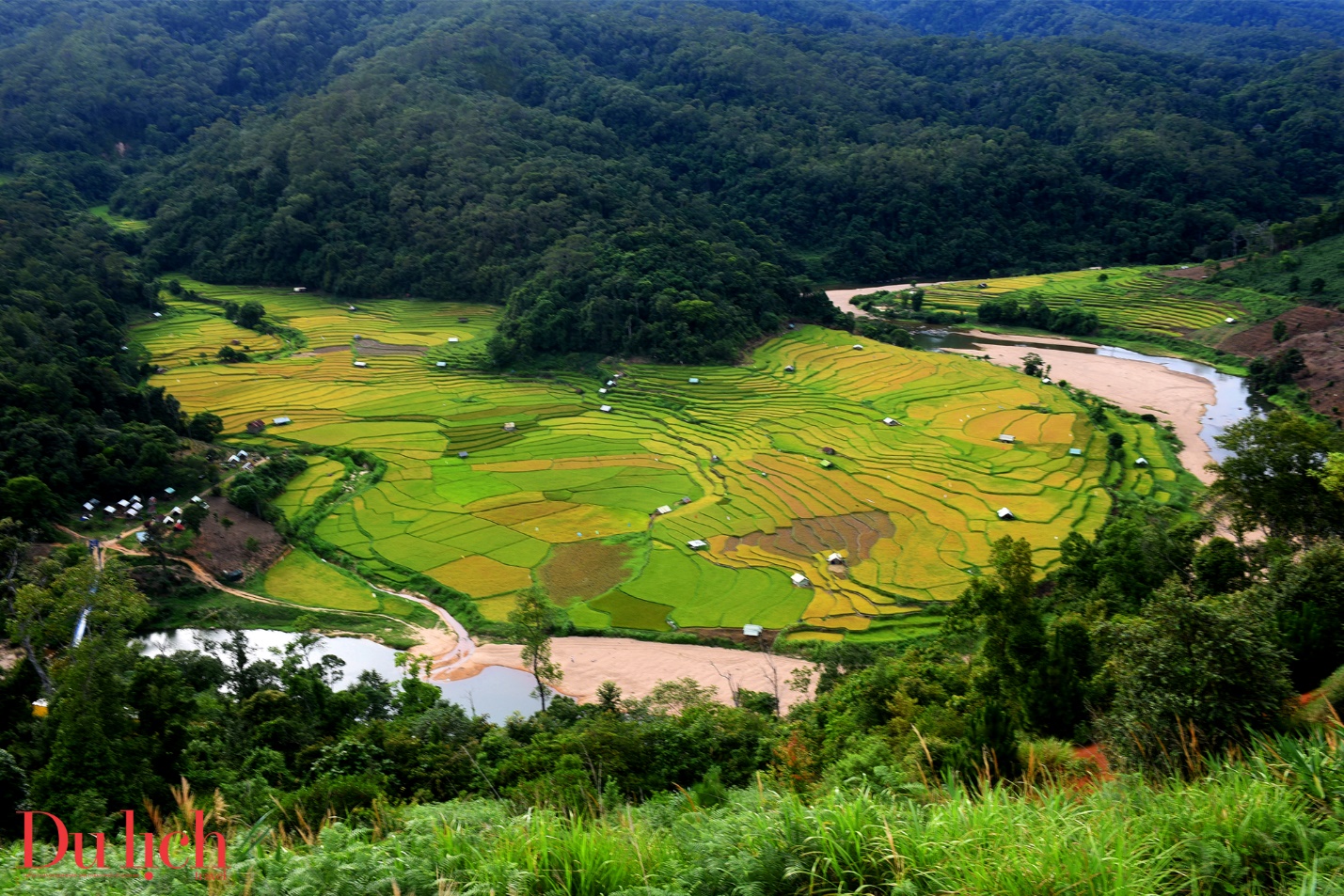 mùa lúa chín, thung lung kontu rang 'mạc' ao vang ong anh, me hoac du khách - 7