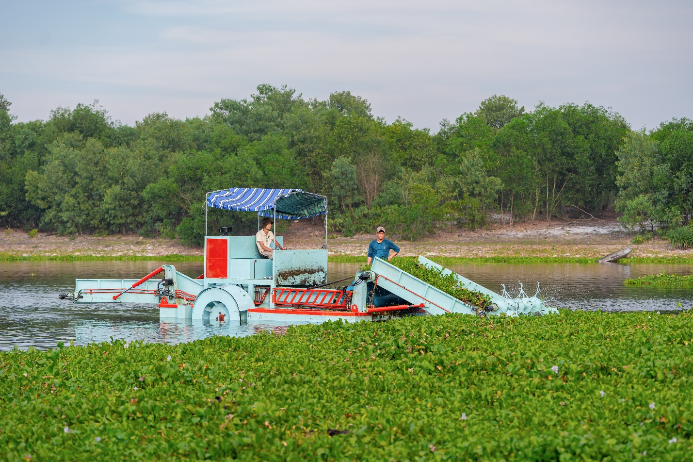 Thử nghiệm máy gom cắt bèo trên sông - 3