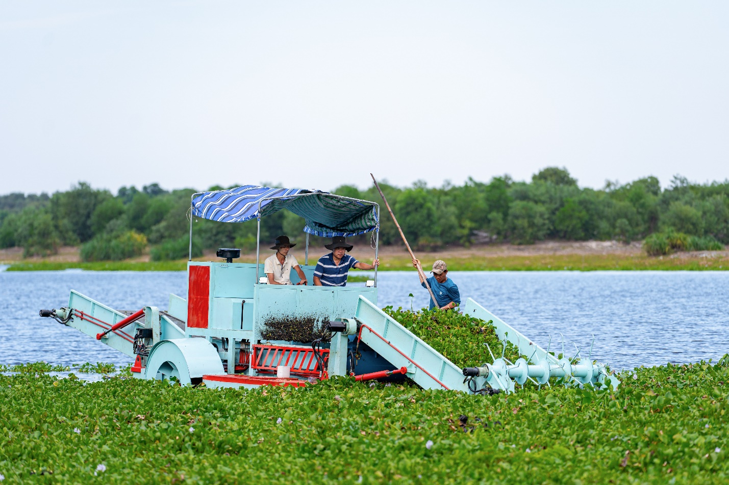 Thử nghiệm máy gom cắt bèo trên sông - 4