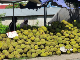 Mua sắm - Sầu riêng RI6 ở miền Tây chỉ còn 30.000 – 35.000 đồng/kg