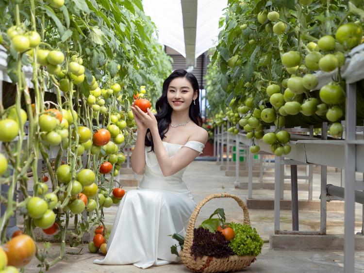 Ladalat Hotel: Chốn bình yên giữa hai thung lũng