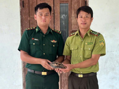  - Tiến nhận cá thể Rùa hộp trán vàng