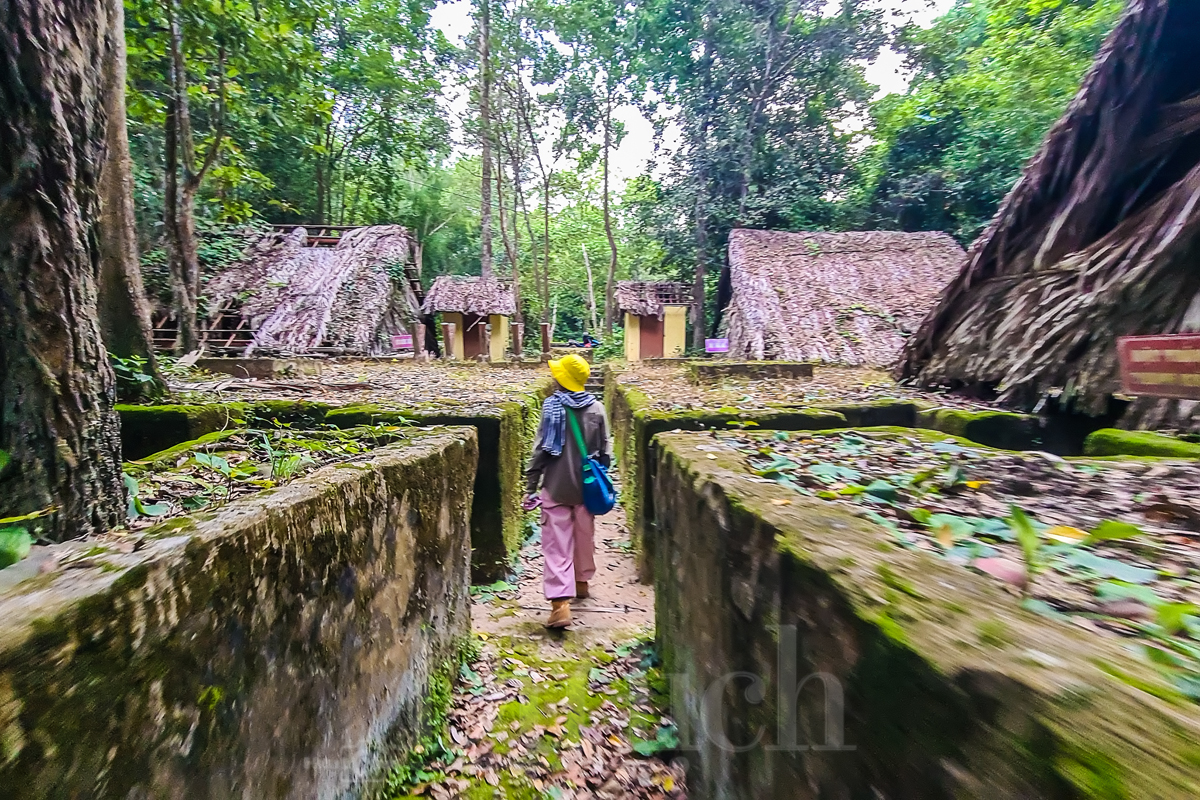 Bước chân hoài niệm tìm về Di tích lịch sử rừng Kiến An - 6