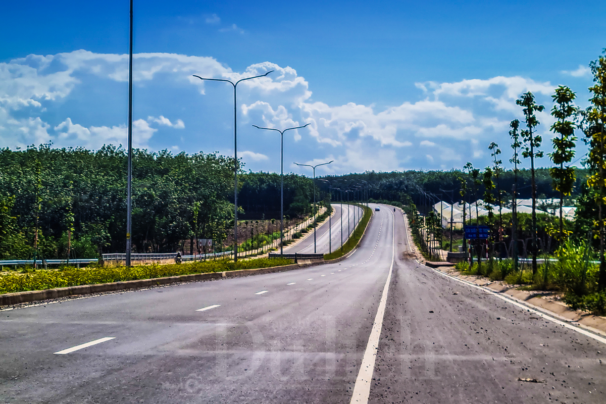 Bước chân hoài niệm tìm về Di tích lịch sử rừng Kiến An - 1