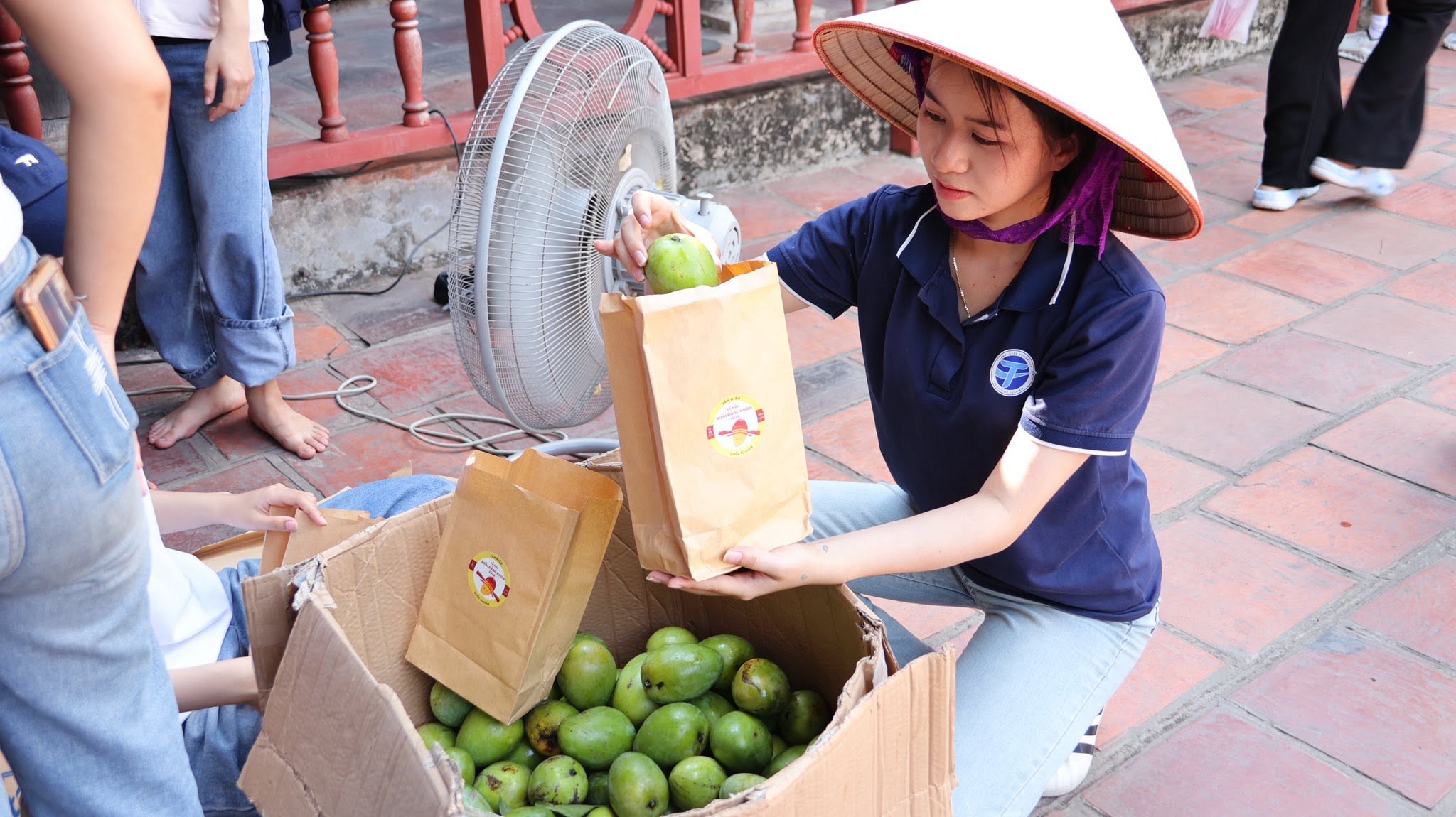 Thí sinh vui mừng nhận xoài Đăng Khoa may mắn từ cây cổ thụ trong khu di tích - 9