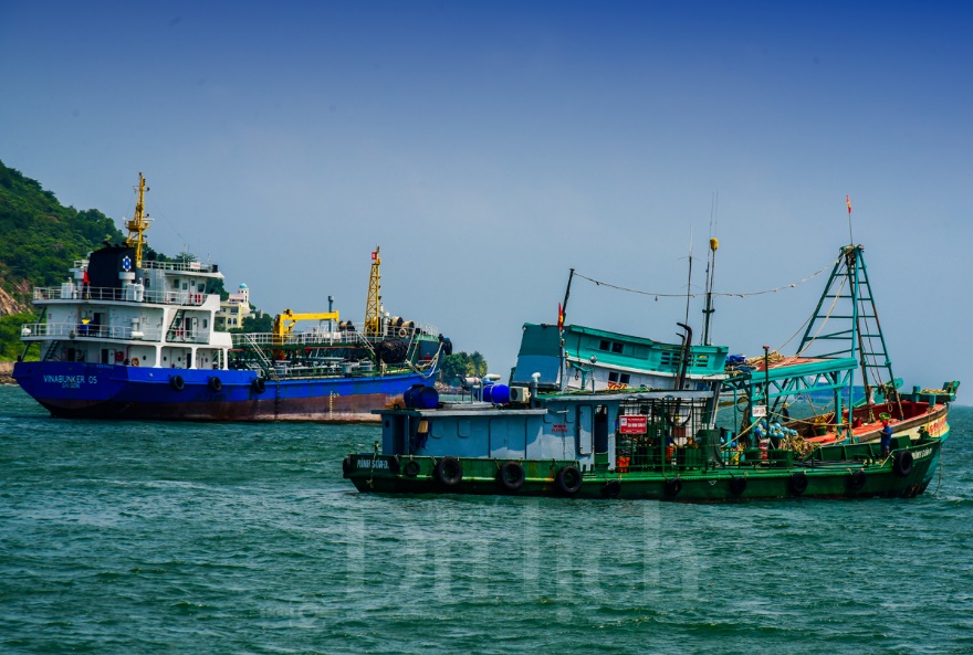 Qua lá phổi xanh, ngắm vịnh Gành Rái chuyển mình - 16
