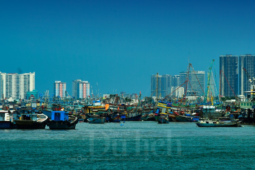 Qua lá phổi xanh, ngắm vịnh Gành Rái chuyển mình - 17