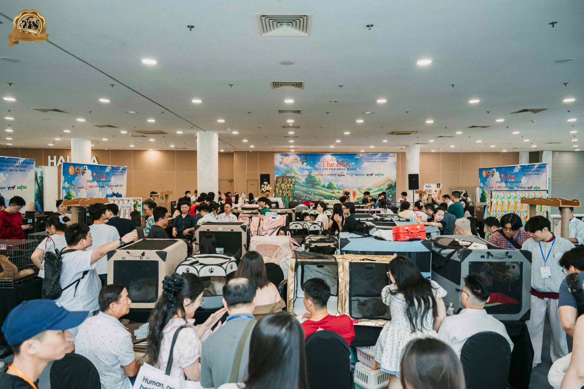 Hai giống mèo hiếm giành ngôi vị cao nhất tại cuộc thi Hoa hậu Mèo FFF Show 2026 - 3