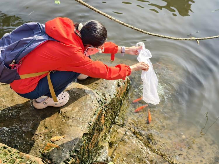 TP.HCM tăng cường bảo vệ động vật hoang dã, hướng dẫn phóng sinh đúng cách
