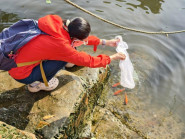 TP.HCM tăng cường bảo vệ động vật hoang dã, hướng dẫn phóng sinh đúng cách