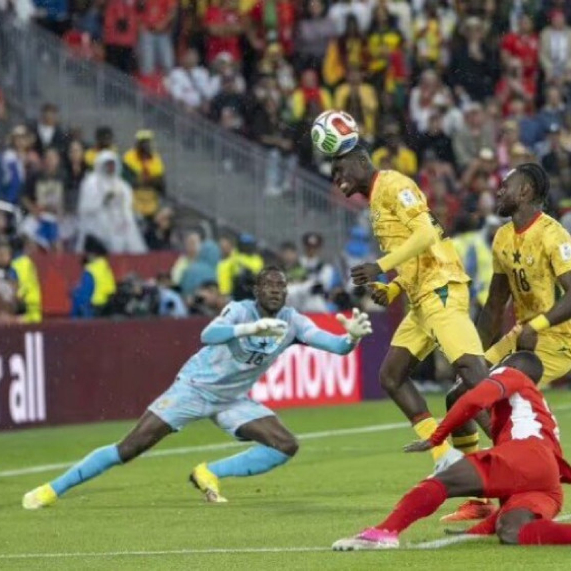  - Bi kịch World Cup 2026: Nữ luật sư 26 tuổi qua đời khi ăn mừng chiến thắng