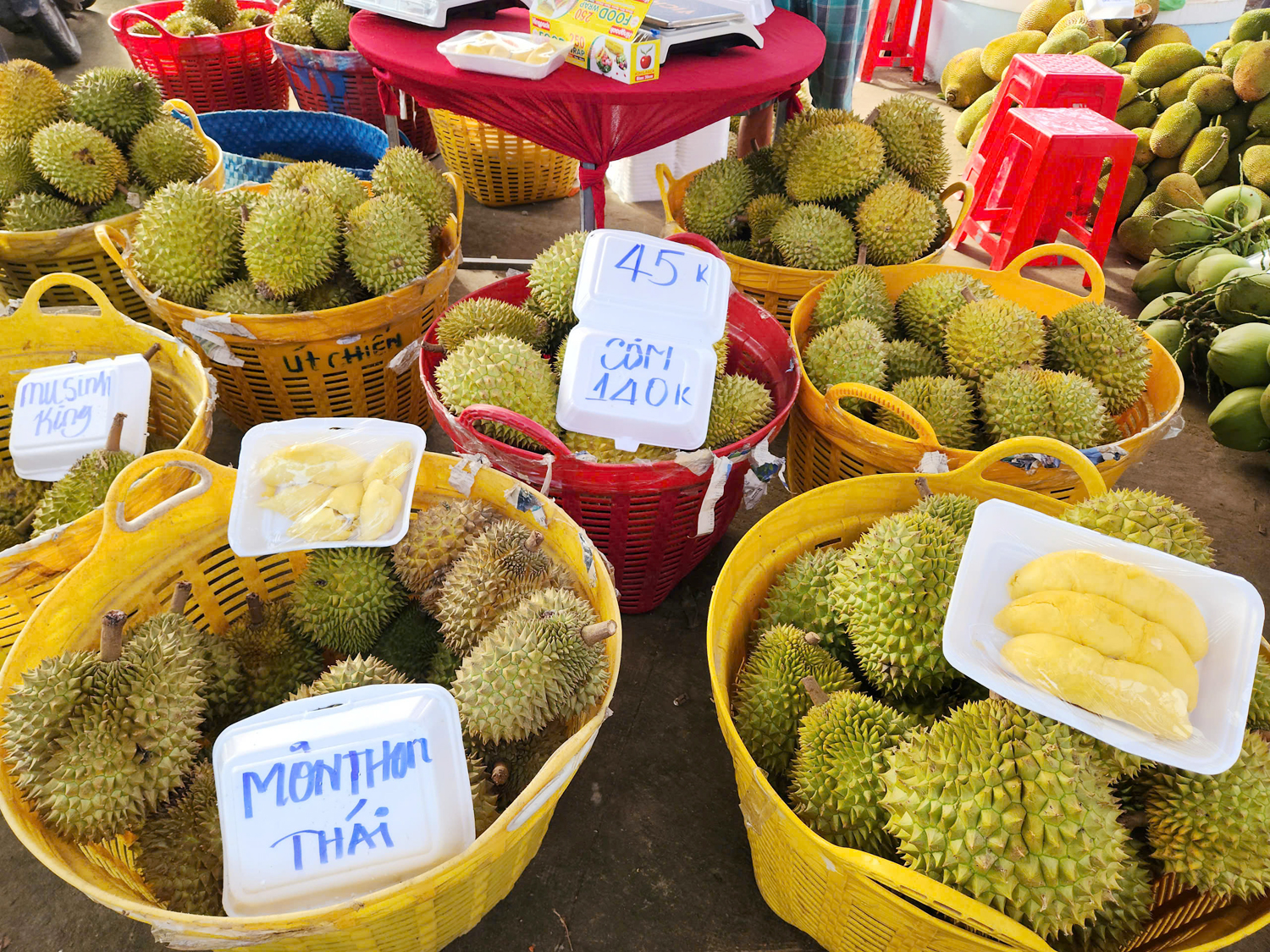 Hàng nghìn du khách đến với Ngày hội Sông nước miệt vườn ở Cần Thơ - 5