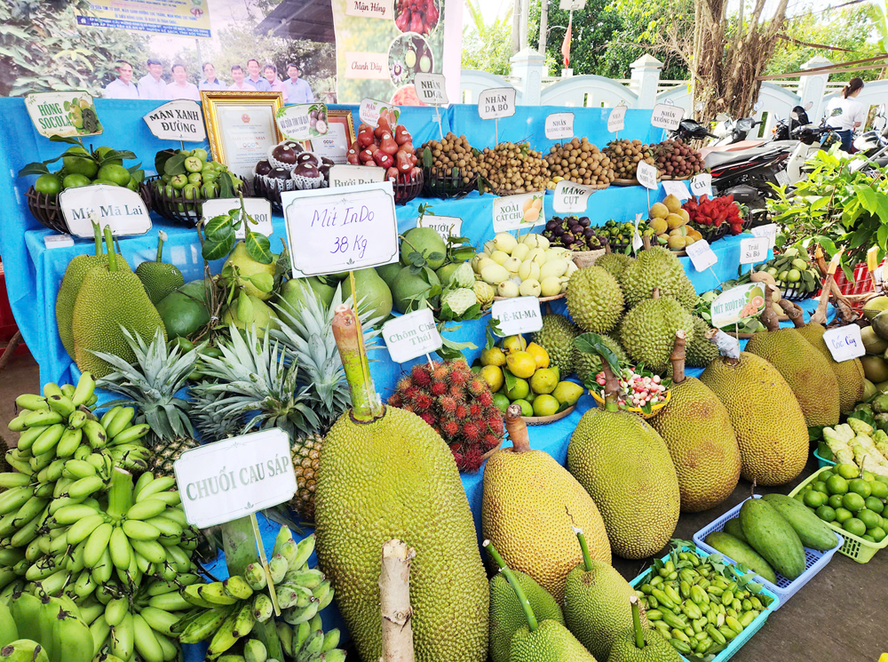 Hàng nghìn du khách đến với Ngày hội Sông nước miệt vườn ở Cần Thơ - 6