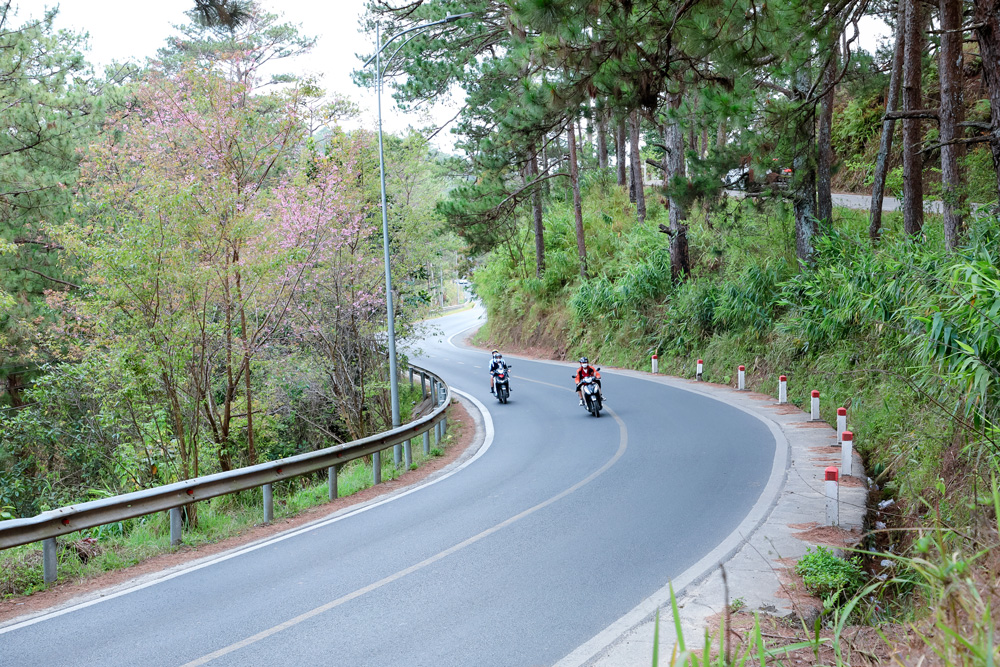 Hạ deadline, đón gió hè: Những cung đường roadtrip đáng cân nhắc cho mùa hè - 5