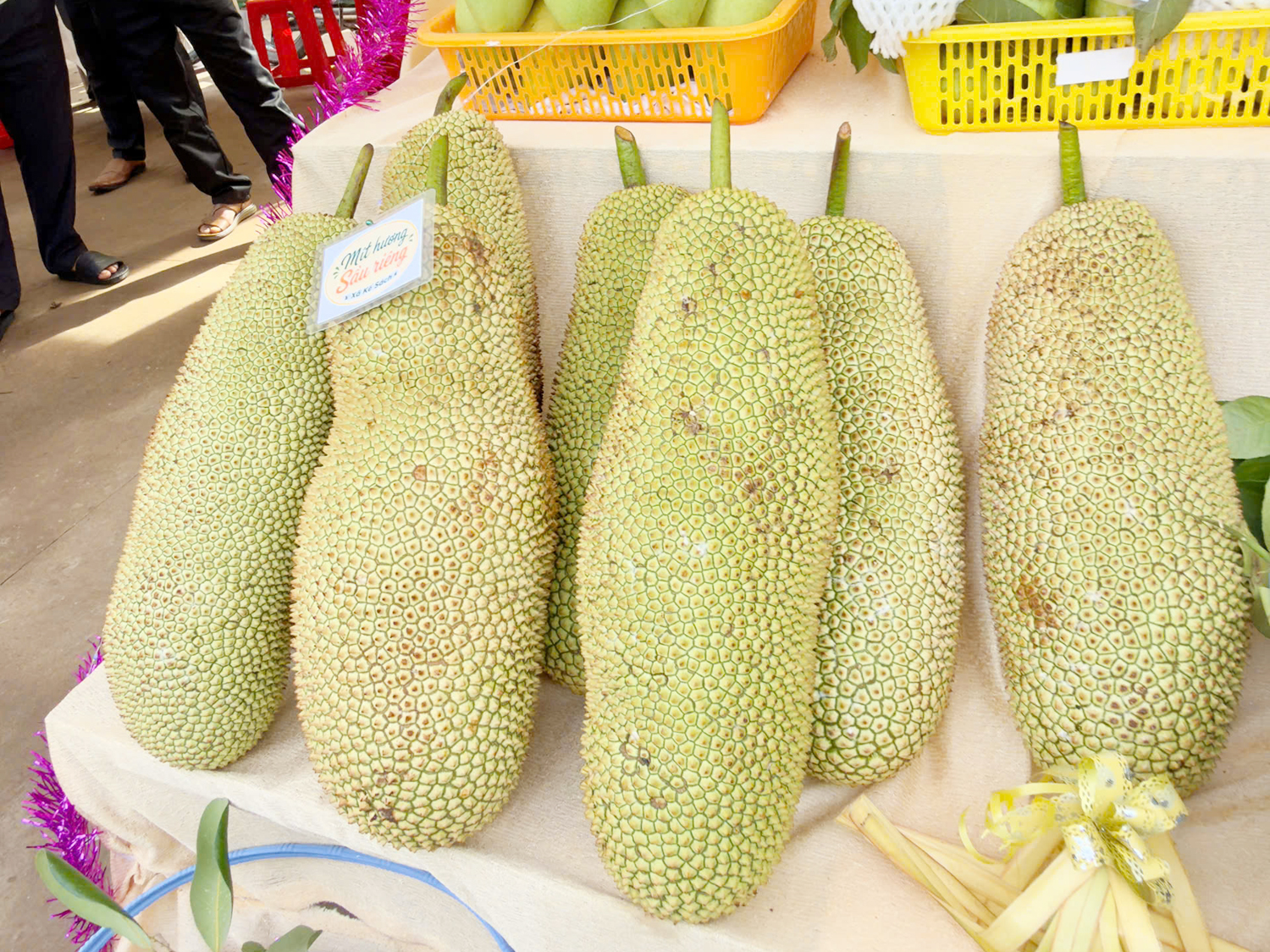 Từng bước nâng tầm Lễ hội Sông nước miệt vườn ở cồn Mỹ Phước - 4