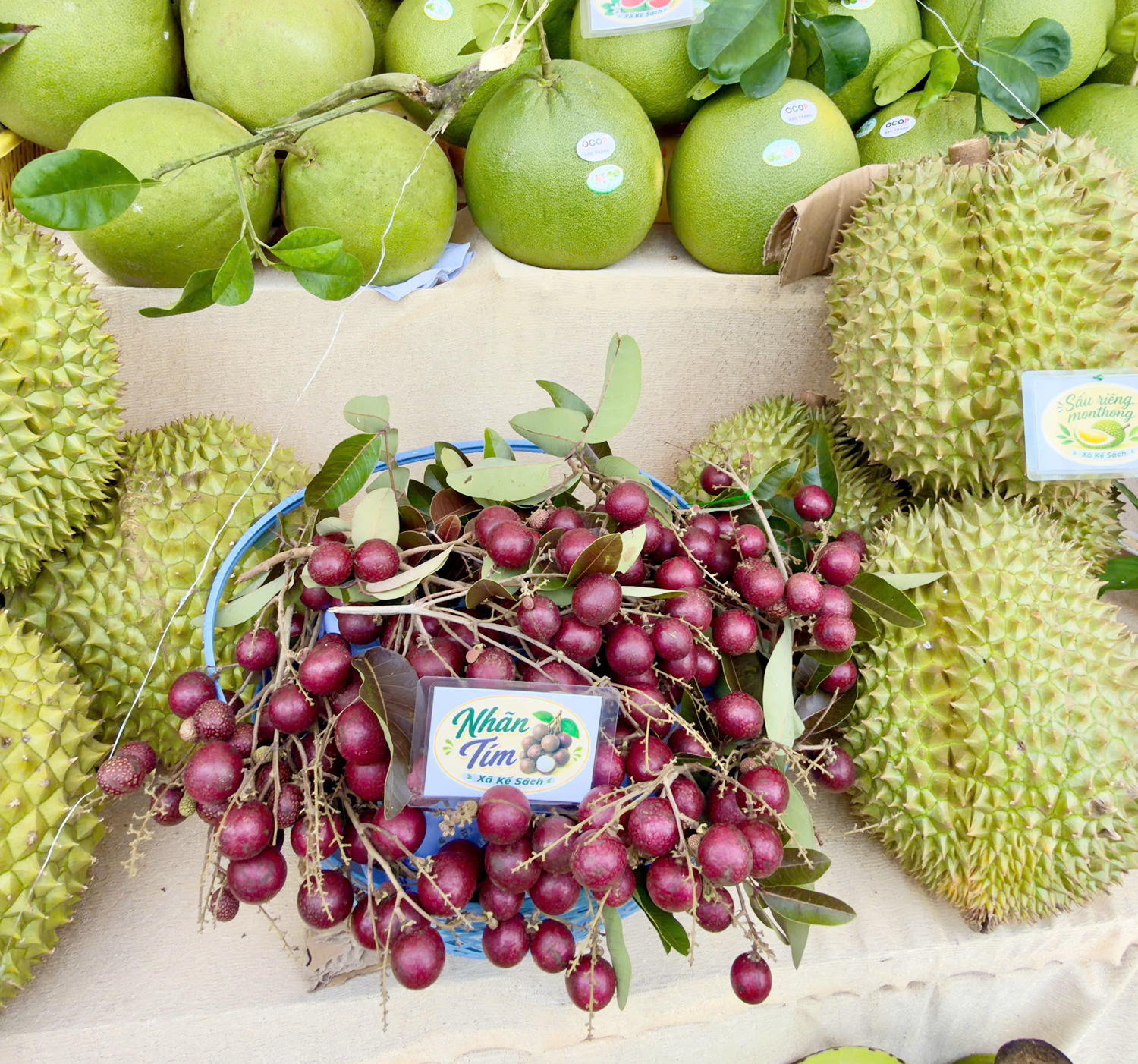 Từng bước nâng tầm Lễ hội Sông nước miệt vườn ở cồn Mỹ Phước - 6