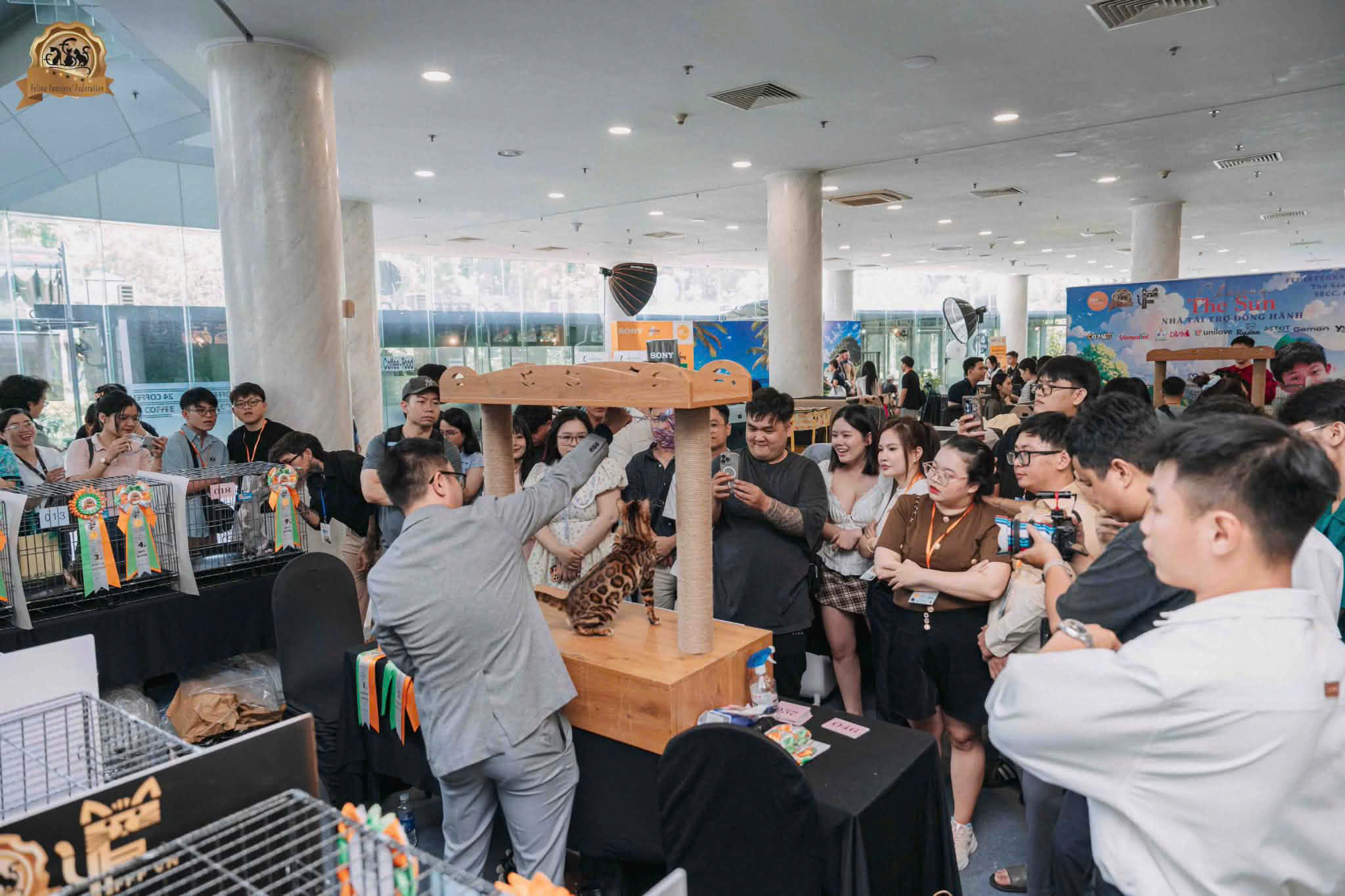 Những khoảnh khắc đáng nhớ tại FFF Show 2026: Mèo Tây và mèo Ta đều được tôn vinh - 1