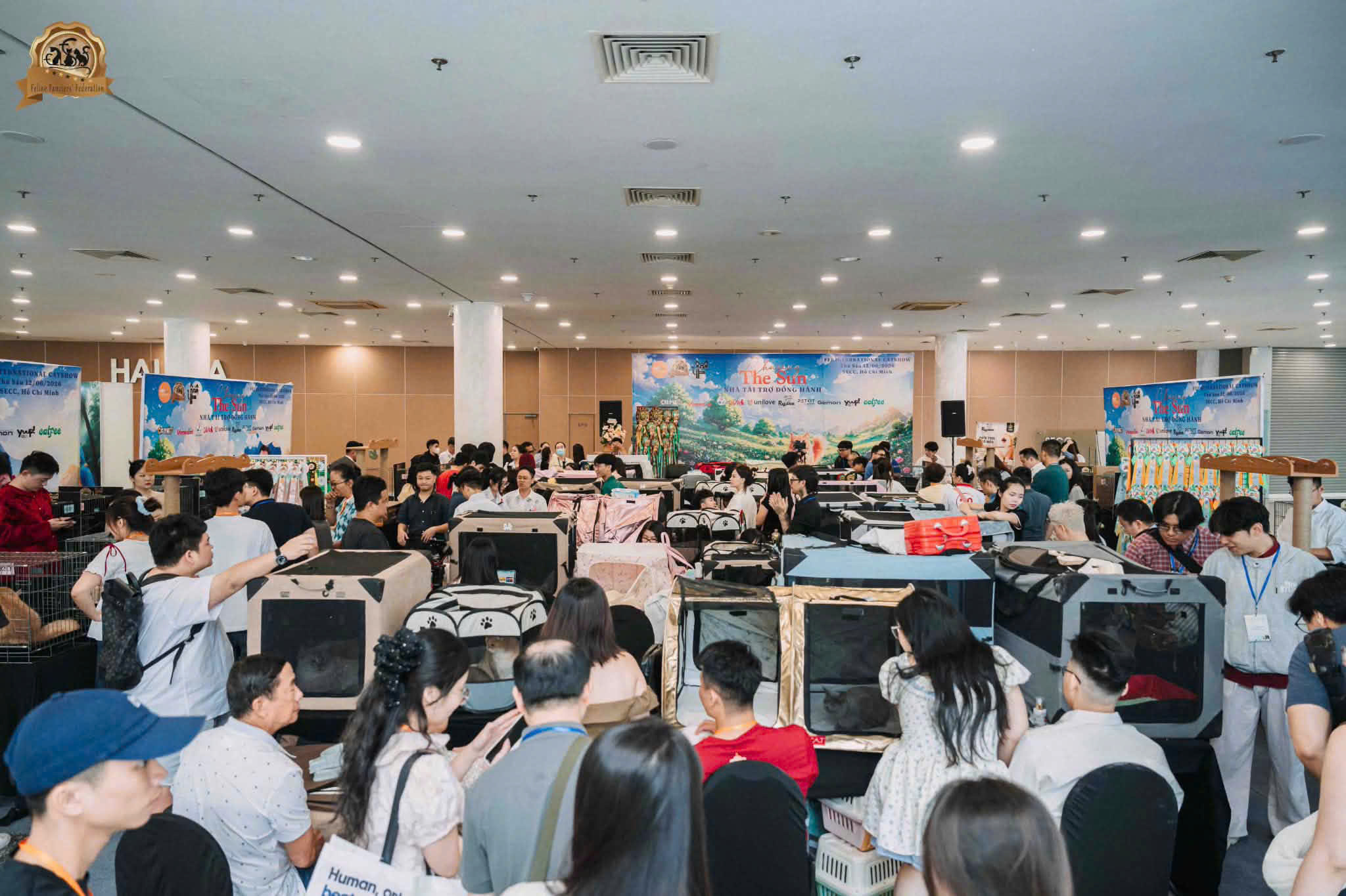 Những khoảnh khắc đáng nhớ tại FFF Show 2026: Mèo Tây và mèo Ta đều được tôn vinh - 5