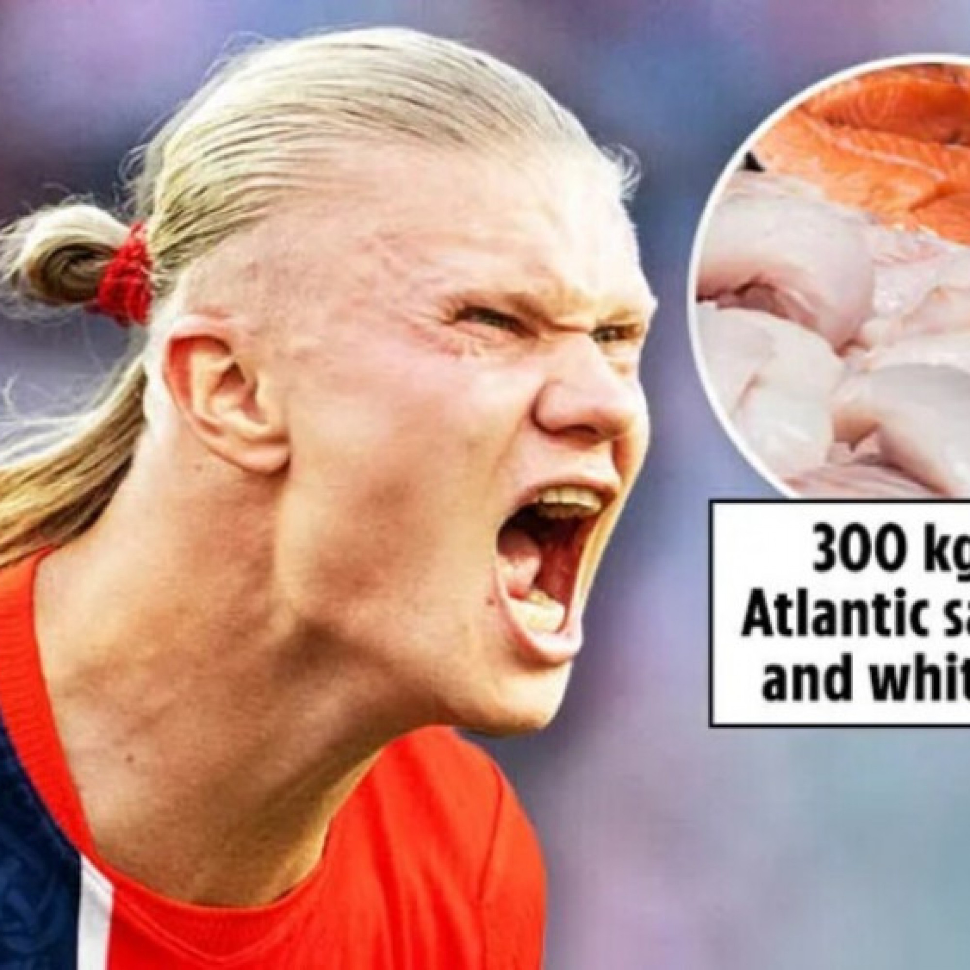  - Na Uy mua 6.000 quả cam, mang 400kg cá hồi từ quê nhà quyết đua vô địch World Cup