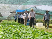 Sơn Tây Thượng – Tròn một năm đổi mới, kiến tạo và phát triển