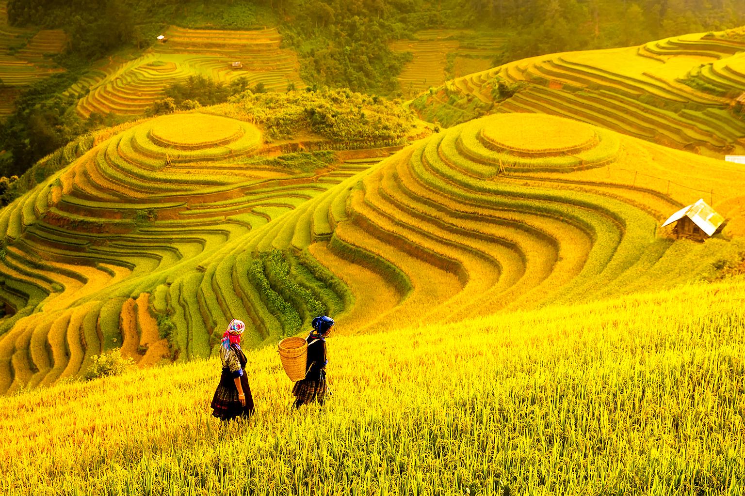 “Thu Muôn Lối”: Năm nay, bạn đã đi đâu chưa? - 3