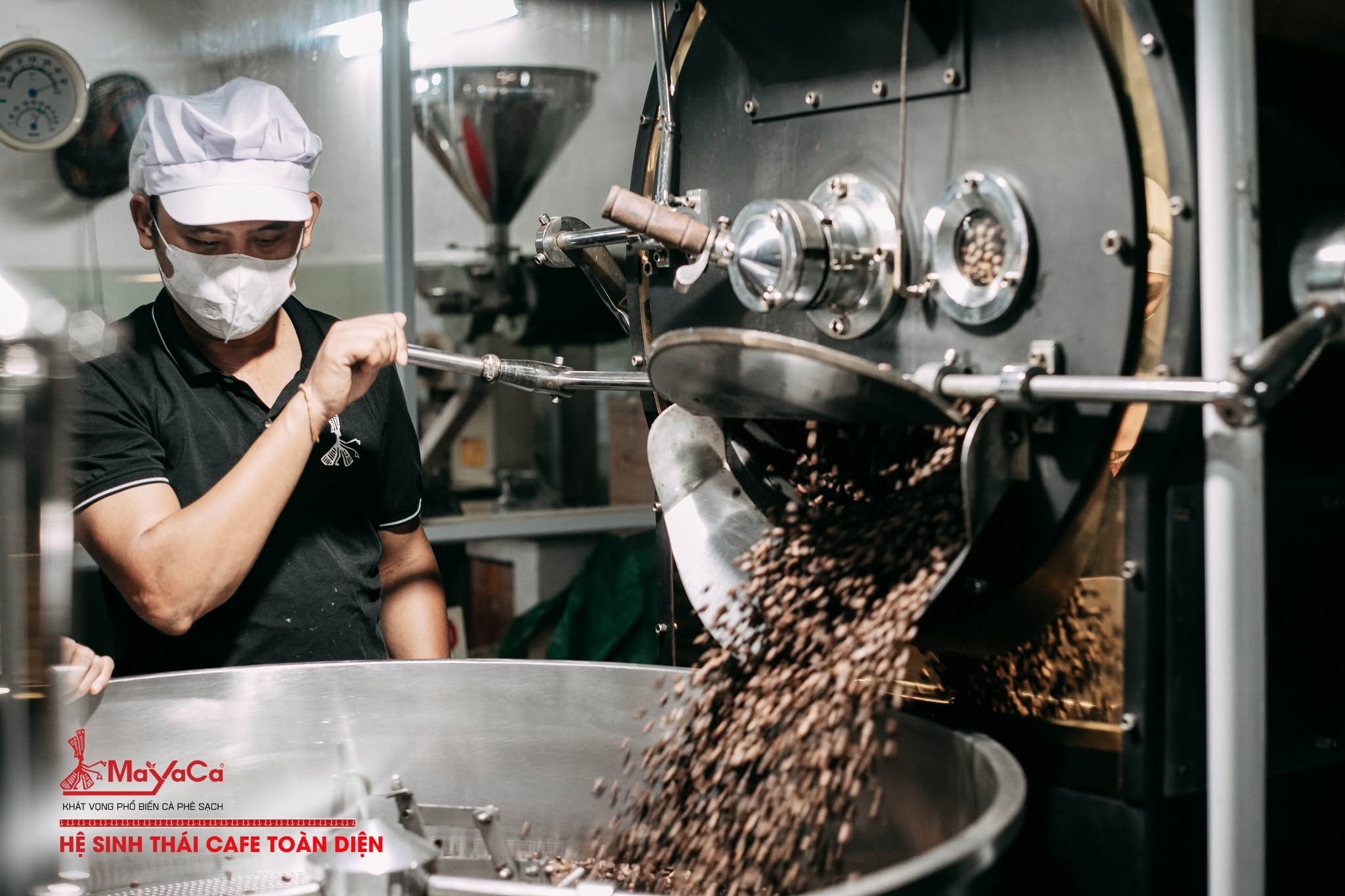 Mayaca Coffee Roastery kiến tạo hệ sinh thái cà phê toàn diện và chất lượng cao - 1