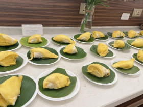  - Tuần lễ Buffet sầu riêng ở Cần Thơ
