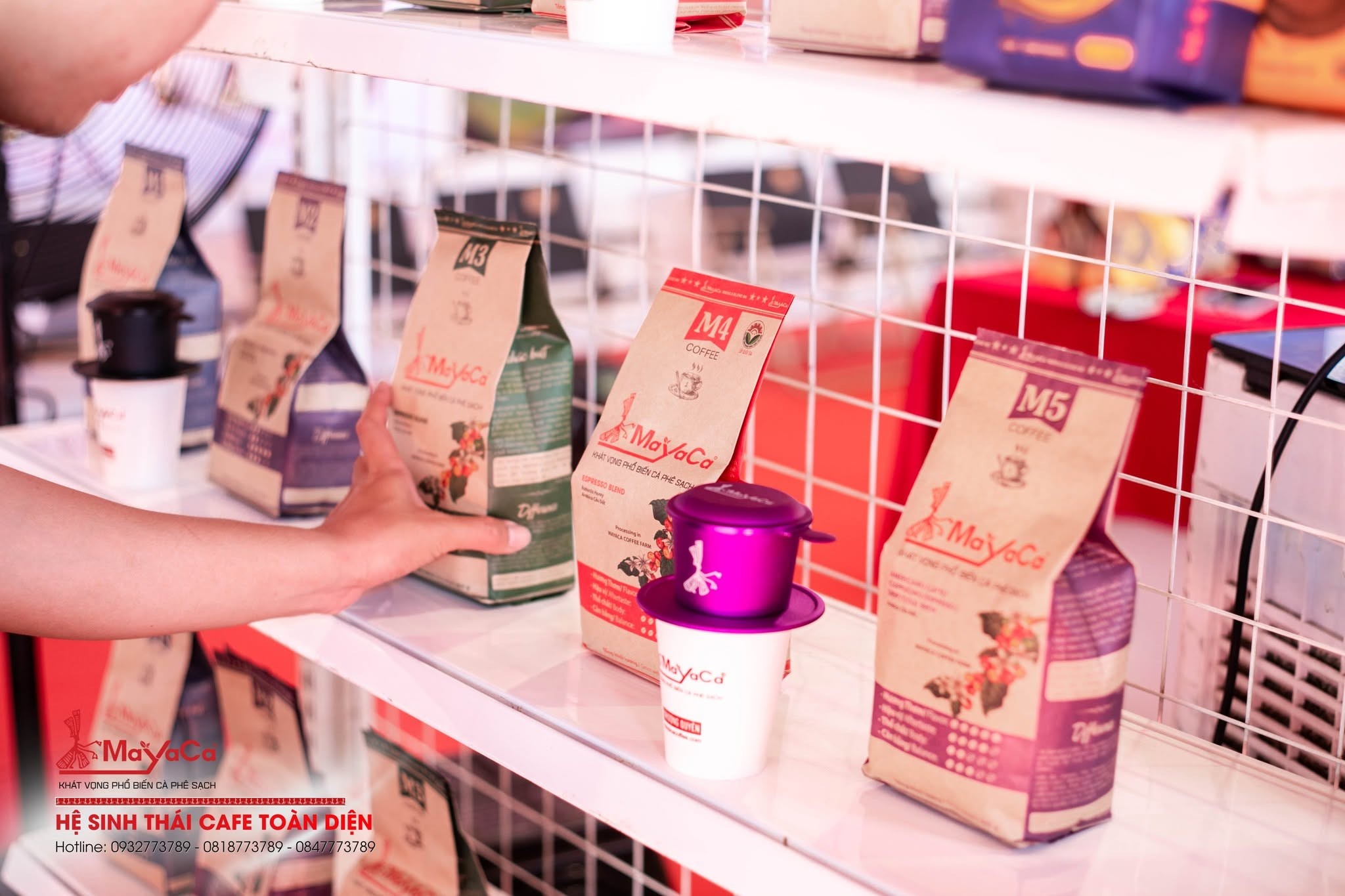 Mayaca Coffee Roastery kiến tạo hệ sinh thái cà phê toàn diện và chất lượng cao - 3