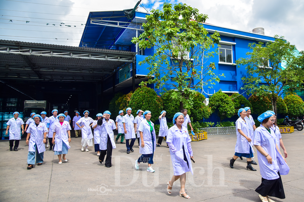 Hành trình xanh tìm về khởi nguồn mạch nước ngầm tinh khiết vùng Đất Thép - 1