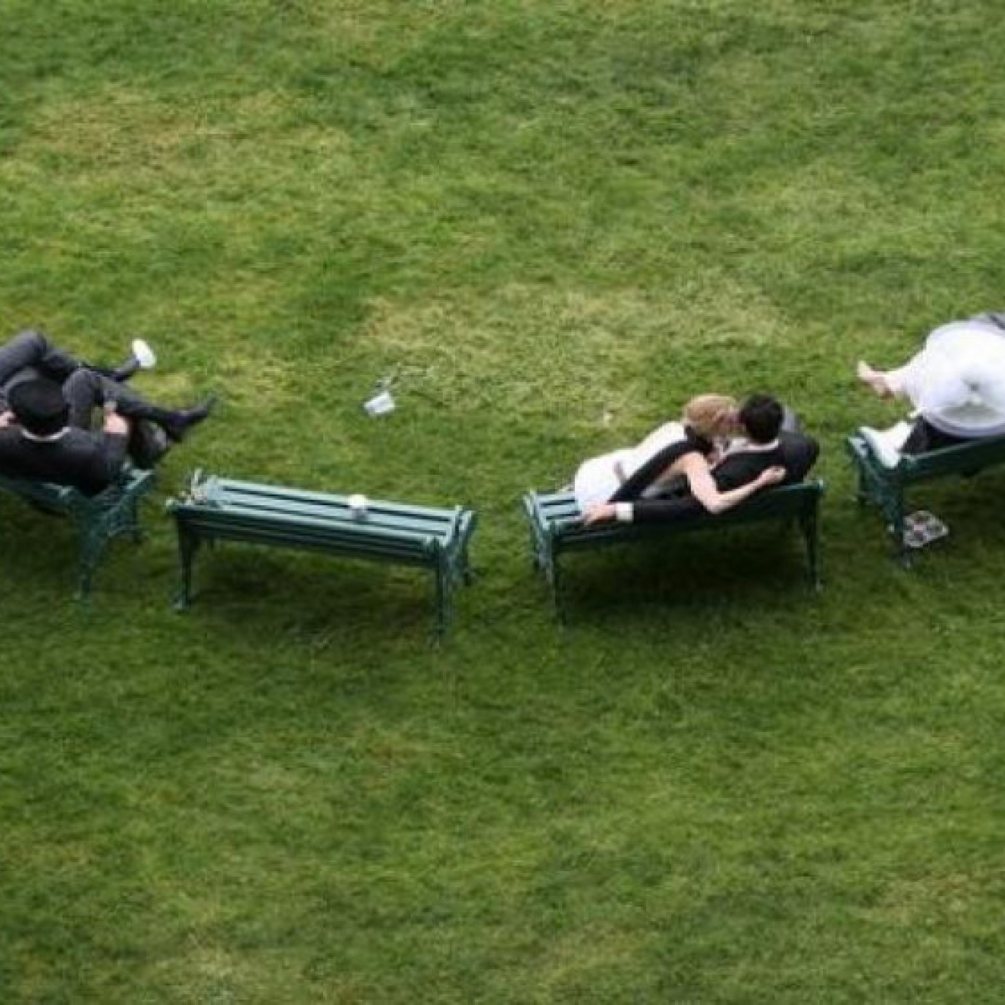  - Sốc khán giả tới xem đua ngựa và làm "chuyện tế nhị" ngay trên trường đua