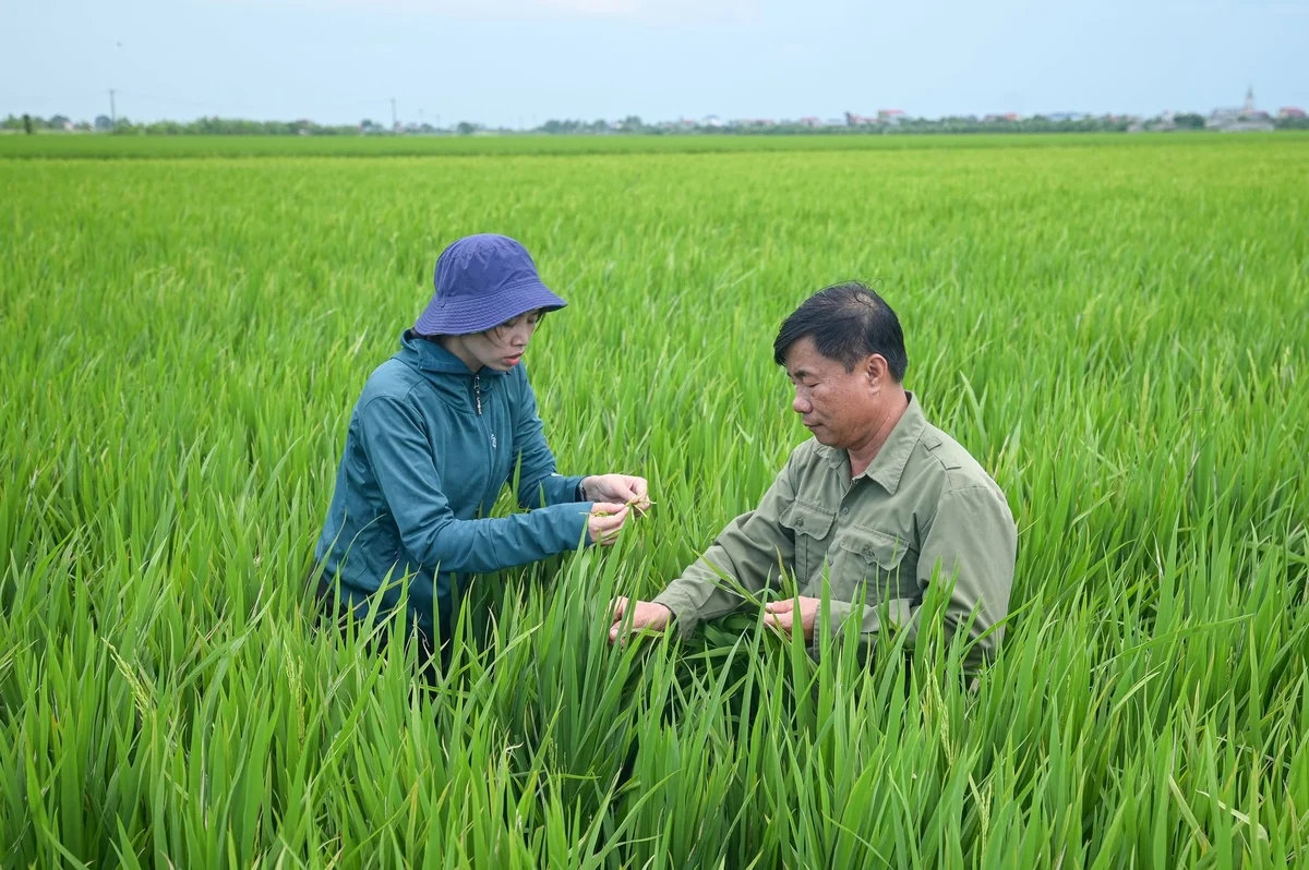 tu nghi quyet so 71-nq/tw cua bo chinh tri toi phat huy vai tro cua giao duc va dao tao trong xay dung y thuc xa hoi moi o vung dong bang song hong hien nay - 6