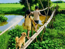  - Hoài niệm cây cầu khỉ
