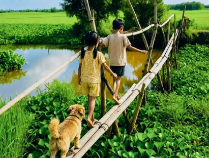 Hoài niệm cây cầu khỉ