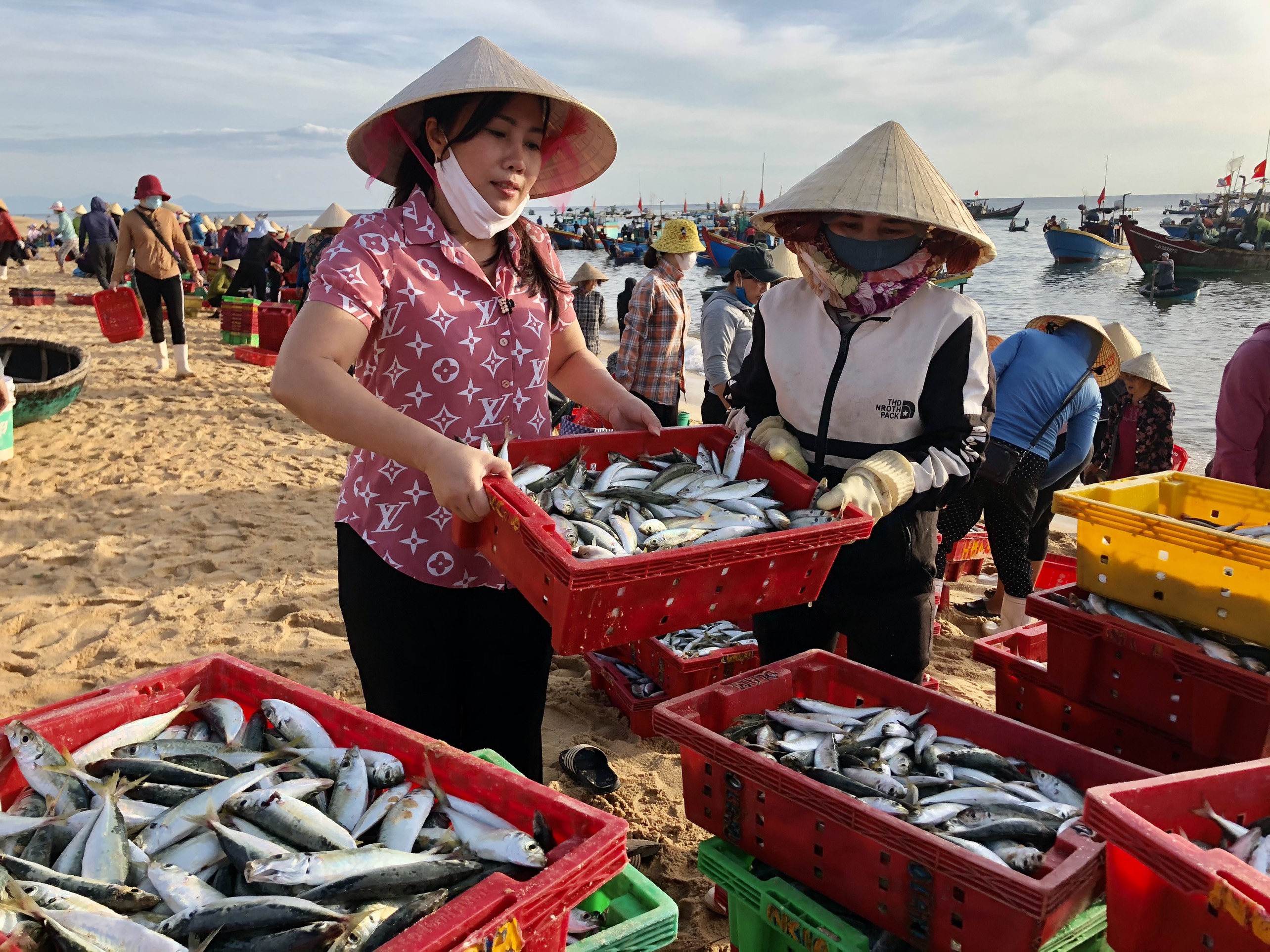 'Tủ lạnh yêu thương' Sài Gòn sắp nhận 3 tấn cá tươi của người Quảng Bình - 2