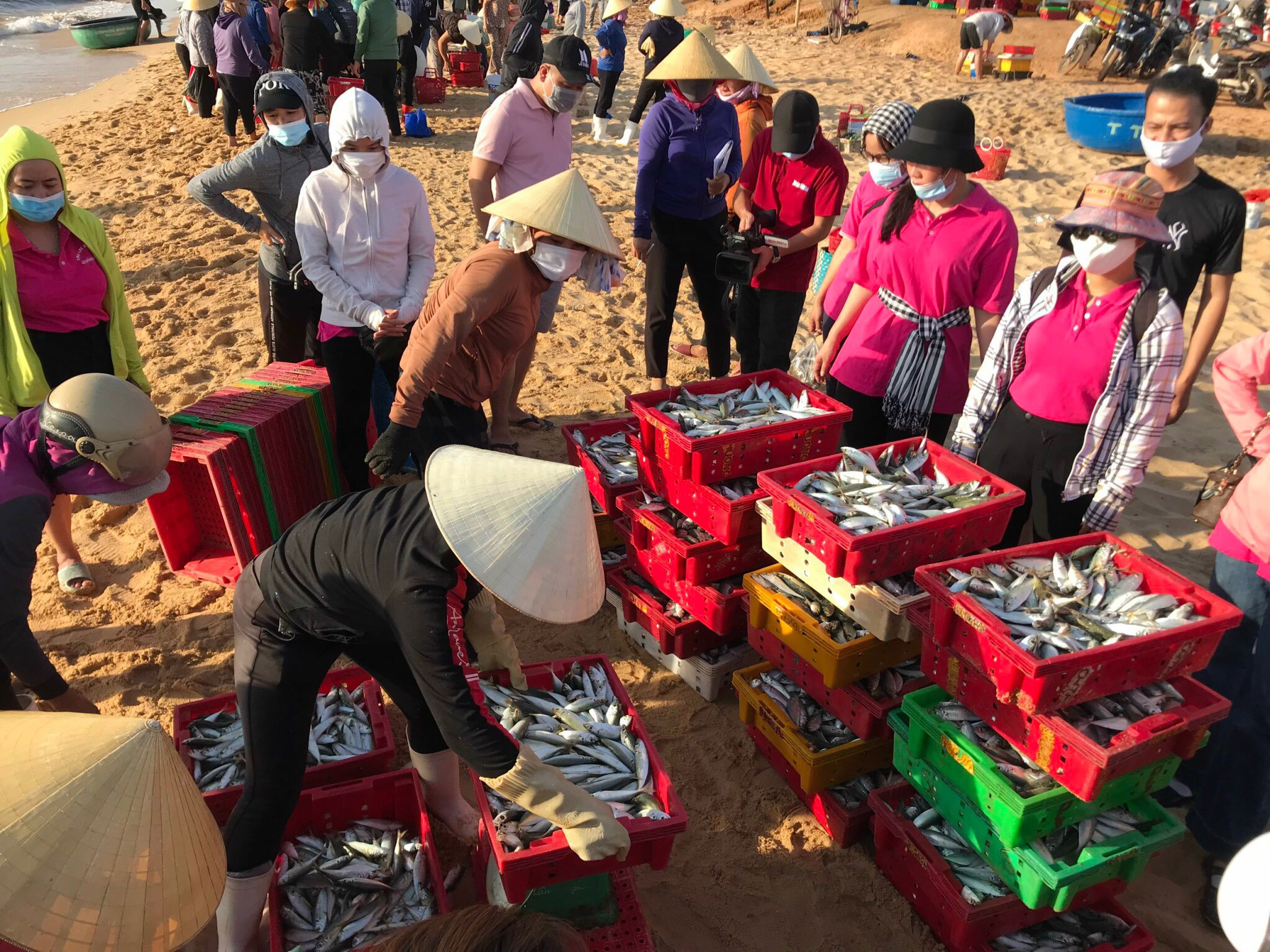 'Tủ lạnh yêu thương' Sài Gòn sắp nhận 3 tấn cá tươi của người Quảng Bình - 6