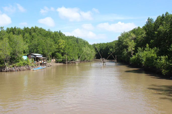 Trải nghiệm thú vị ở rừng ngập mặn lớn nhất Việt Nam - 9