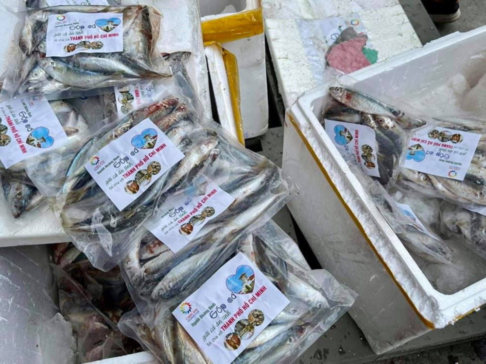 Người dân ở khu phong tỏa TP.HCM nhận cá biển từ Quảng Bình - 3