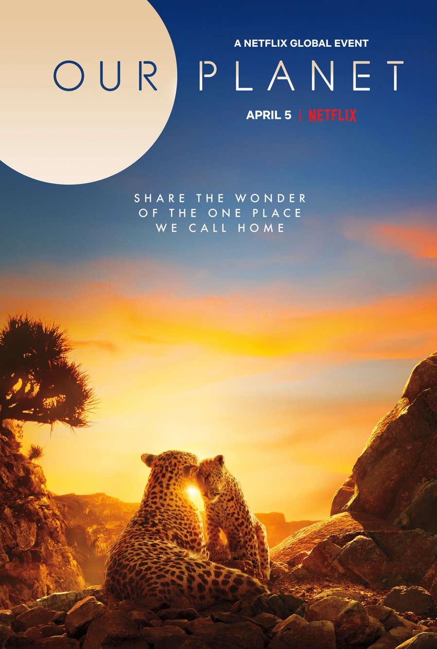 Những bộ phim Netflix sẽ làm thay đổi nhận thức của bạn về Trái Đất - 4