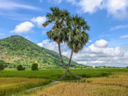 Du lịch qua ảnh: Một ngày về mảnh đất vùng biên xinh đẹp