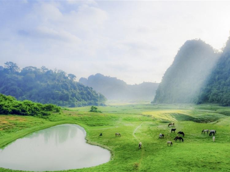 Gần Hà Nội có một thảo nguyên đổi cảnh theo mùa, xách ba lô đi ngay khi hết dịch