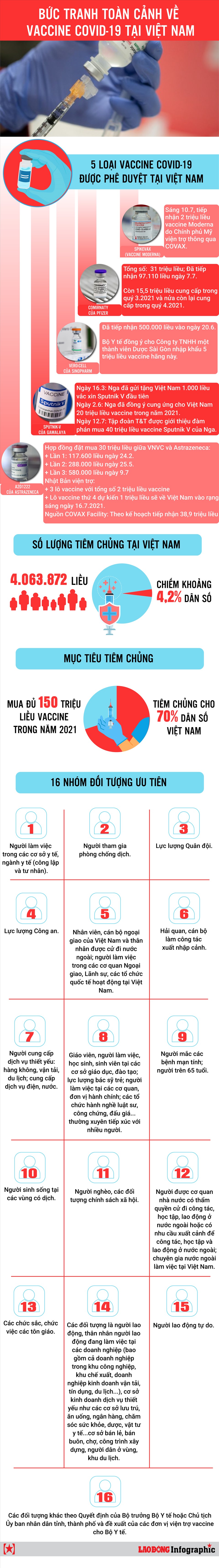 Bức tranh toàn cảnh về vaccine COVID-19 tại Việt Nam - 1